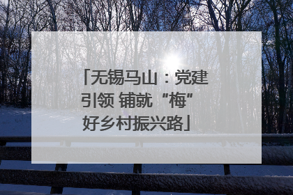 无锡马山：党建引领 铺就“梅”好乡村振兴路