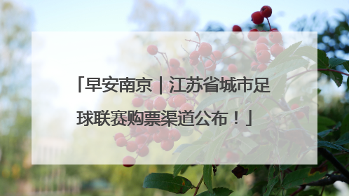 早安南京｜江苏省城市足球联赛购票渠道公布！