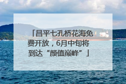 昌平七孔桥花海免费开放，6月中旬将到达“颜值巅峰”