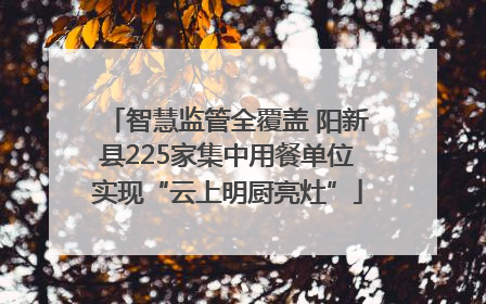 智慧监管全覆盖 阳新县225家集中用餐单位实现“云上明厨亮灶”