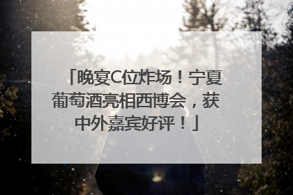 晚宴C位炸场！宁夏葡萄酒亮相西博会，获中外嘉宾好评！