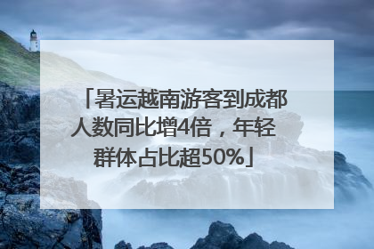 暑运越南游客到成都人数同比增4倍，年轻群体占比超50%