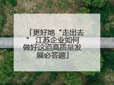 更好地“走出去” 江苏企业如何做好这道高质量发展必答题
