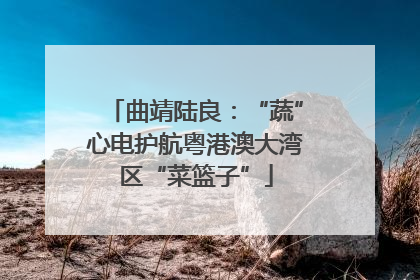 曲靖陆良：“蔬”心电护航粤港澳大湾区“菜篮子”