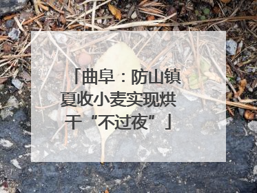 曲阜：防山镇夏收小麦实现烘干“不过夜”