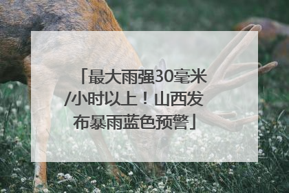 最大雨强30毫米/小时以上！山西发布暴雨蓝色预警