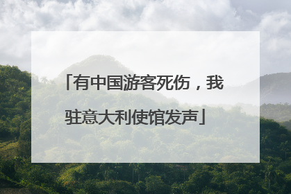 有中国游客死伤，我驻意大利使馆发声