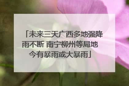 未来三天广西多地强降雨不断 南宁柳州等局地今有暴雨或大暴雨