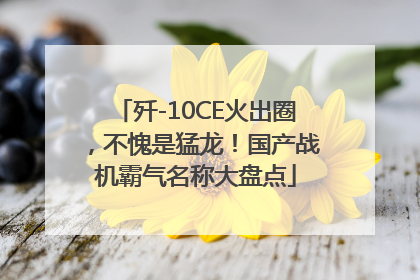 歼-10CE火出圈，不愧是猛龙！国产战机霸气名称大盘点