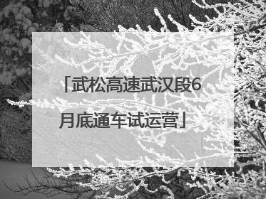 武松高速武汉段6月底通车试运营