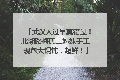 武汉人过早莫错过！北湖路梅氏三姊妹手工现包大馄饨，超鲜！