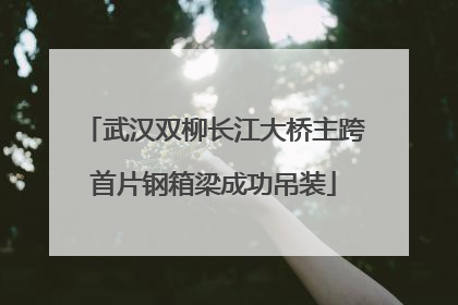 武汉双柳长江大桥主跨首片钢箱梁成功吊装
