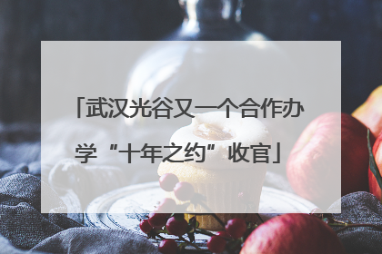 武汉光谷又一个合作办学“十年之约”收官