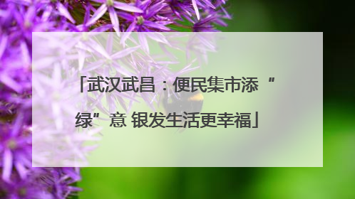 武汉武昌：便民集市添“绿”意 银发生活更幸福