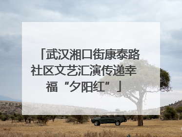 武汉湘口街康泰路社区文艺汇演传递幸福“夕阳红”