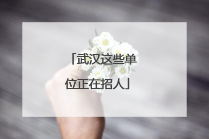 武汉这些单位正在招人