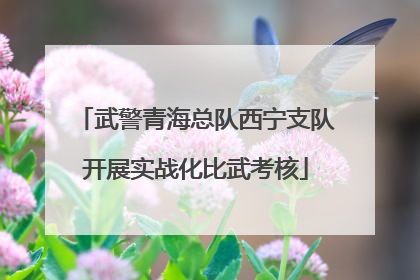 武警青海总队西宁支队开展实战化比武考核