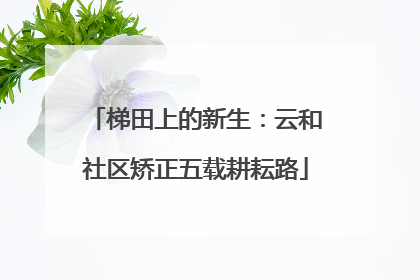 梯田上的新生：云和社区矫正五载耕耘路