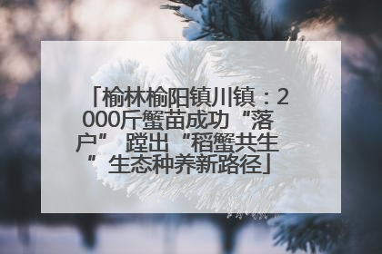 榆林榆阳镇川镇：2000斤蟹苗成功“落户” 蹚出“稻蟹共生”生态种养新路径