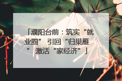 濮阳台前：筑实“就业圈” 引回“归巢雁” 激活“家经济”