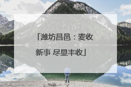 潍坊昌邑：麦收新事 尽显丰收