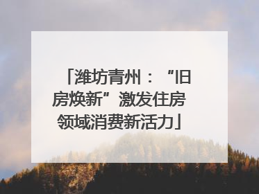 潍坊青州：“旧房焕新”激发住房领域消费新活力