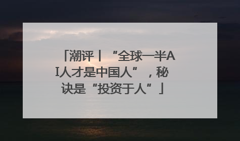 潮评丨“全球一半AI人才是中国人”，秘诀是“投资于人”