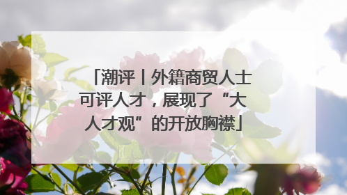 潮评丨外籍商贸人士可评人才，展现了“大人才观”的开放胸襟