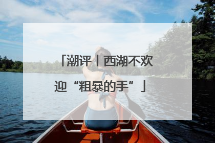 潮评丨西湖不欢迎“粗暴的手”