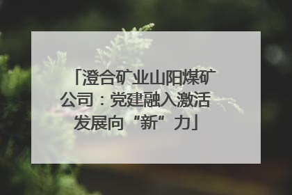 澄合矿业山阳煤矿公司：党建融入激活发展向“新”力