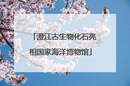 澄江古生物化石亮相国家海洋博物馆