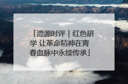 澧源时评｜红色研学 让革命精神在青春血脉中永续传承