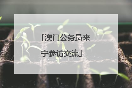 澳门公务员来宁参访交流