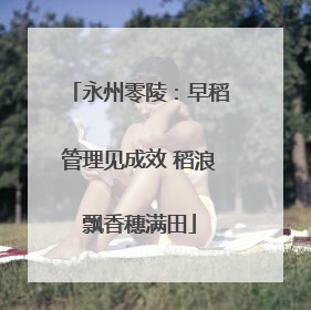 永州零陵：早稻管理见成效 稻浪飘香穗满田