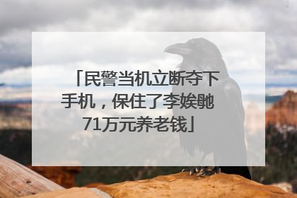 民警当机立断夺下手机，保住了李娭毑71万元养老钱