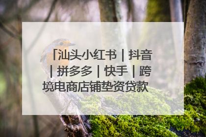 汕头小红书｜抖音｜拼多多｜快手｜跨境电商店铺垫资贷款企业-漫商易