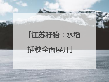 江苏盱眙：水稻插秧全面展开
