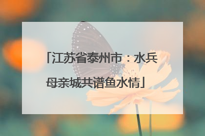 江苏省泰州市：水兵母亲城共谱鱼水情