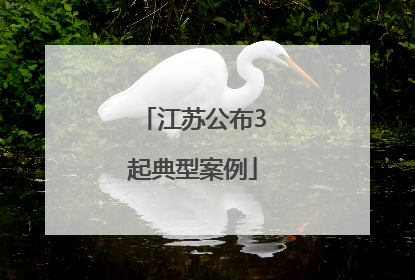 江苏公布3起典型案例