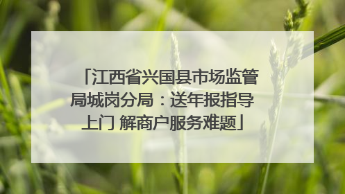 江西省兴国县市场监管局城岗分局：送年报指导上门 解商户服务难题