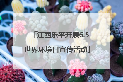 江西乐平开展6.5世界环境日宣传活动