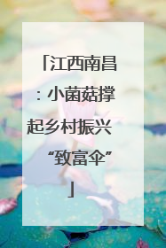 江西南昌：小菌菇撑起乡村振兴“致富伞”