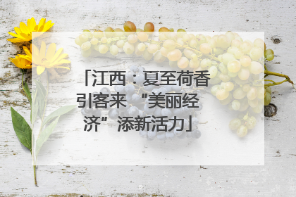 江西：夏至荷香引客来 “美丽经济”添新活力