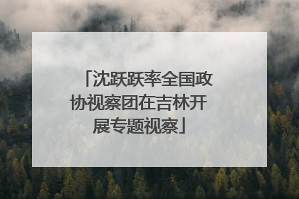 沈跃跃率全国政协视察团在吉林开展专题视察