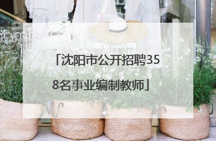 沈阳市公开招聘358名事业编制教师