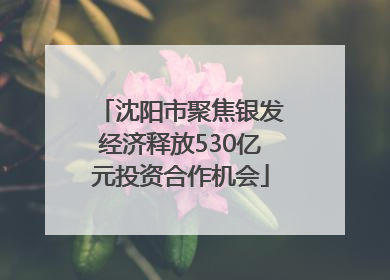 沈阳市聚焦银发经济释放530亿元投资合作机会