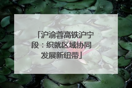 沪渝蓉高铁沪宁段：织就区域协同发展新纽带