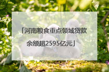 河南粮食重点领域贷款余额超2595亿元