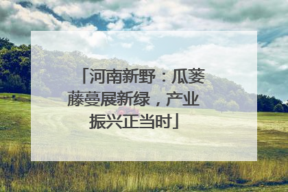 河南新野：瓜蒌藤蔓展新绿，产业振兴正当时