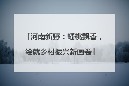 河南新野：蟠桃飘香，绘就乡村振兴新画卷